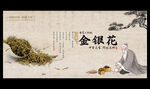 金银花