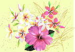 鲜花插画设计