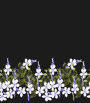 定位花
