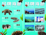 海参海报