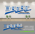 发展历程
