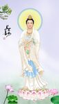观音大士