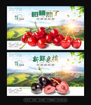 樱桃