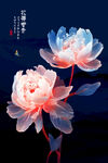 水晶牡丹