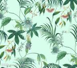 热带植物