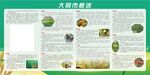 大同市概述展板