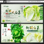 黄白菜