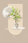 绿植挂画