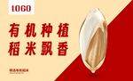 米粒特写