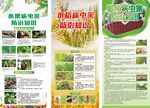 病虫害防治知识