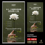 私密 两性健康 花语