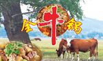 全牛锅