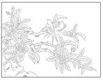 花鸟图 