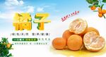 橘子海报