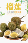 榴莲