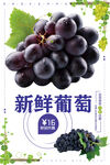 葡萄