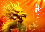 龙