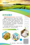 农产品农业海报设计