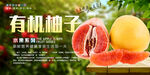 柚子