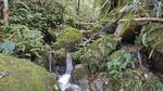 山林里的泉水
