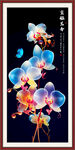 玉兰花