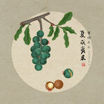 手绘夏威夷果