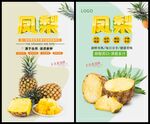 凤梨海报