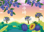 西梅插画