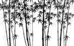 墨竹
