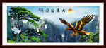 大展宏图 大展鸿图 