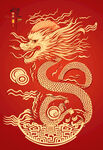 龙