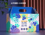 蓝莓汁包装设计