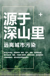 绿色海报