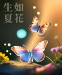 蝴蝶海报