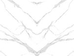 新款 奢华爵士白画 TIf合层