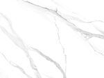 高清 最新爵士白画 TIf合层