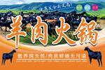 羊肉火锅
