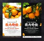 赣南脐橙
