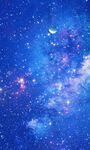 竖幅星空背景墙