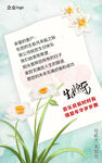 国风企业客户生日祝福12月水仙
