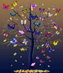 彩色蝴蝶树 