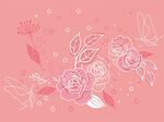 玫瑰花插画