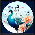 孔雀插画