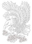 白描老鹰 