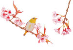 垂丝海棠花鸟插图