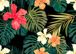 手绘花