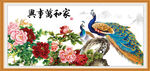 花开富贵
