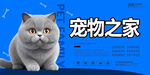 宠物