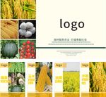 农业展板