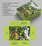 梨子包装 水果盒子